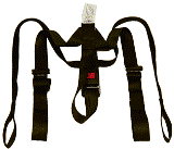 Cam Harness For School Bus High Back Seats